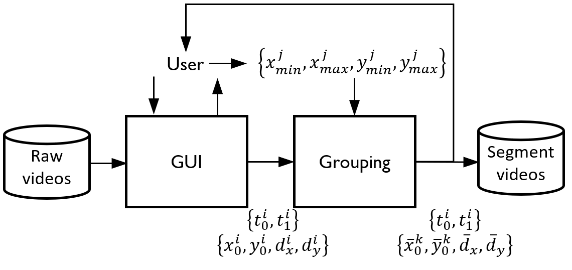 French Sign Language (LSF)